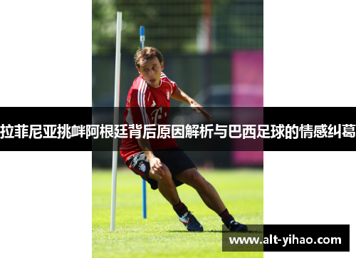 拉菲尼亚挑衅阿根廷背后原因解析与巴西足球的情感纠葛