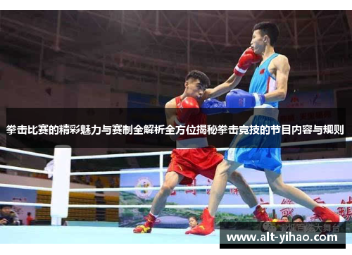 拳击比赛的精彩魅力与赛制全解析全方位揭秘拳击竞技的节目内容与规则