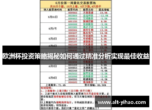 欧洲杯投资策略揭秘如何通过精准分析实现最佳收益
