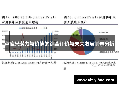 卢库米潜力与价值的综合评价与未来发展前景分析