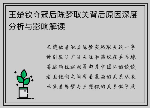 王楚钦夺冠后陈梦取关背后原因深度分析与影响解读