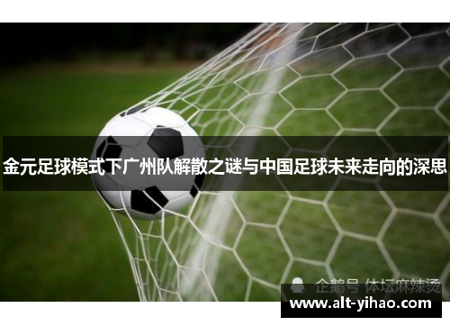 金元足球模式下广州队解散之谜与中国足球未来走向的深思