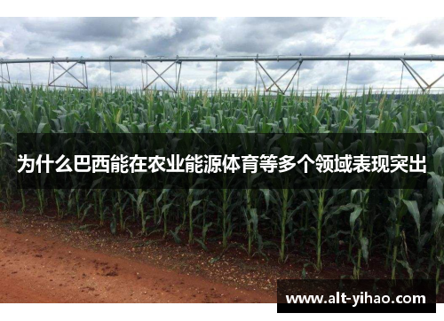 为什么巴西能在农业能源体育等多个领域表现突出