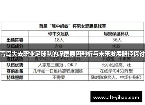 青岛失去职业足球队的深层原因剖析与未来发展路径探讨